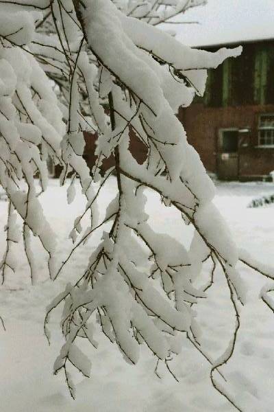 foto017.jpg