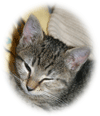 Felicitas