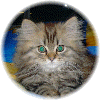 Figaro