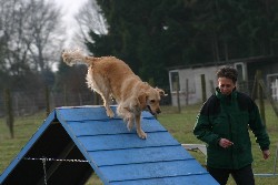 Face Agility